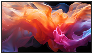 Sharp MultiSync E659 Display