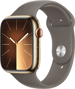 Apple Watch S9 9 LTE 45mm, inox, or