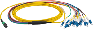 Câbles patch FO EFB MTP/MPO-12xLC OS2 jaune