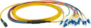 EFB FO Patch Cable MTP/MPO-12xLC OS2 Yellow