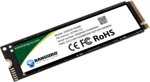 Kanguru Defender SED30 M.2 NVME selbst verschlüsselnde interne SSDs