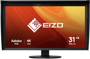 EIZO ColorEdge CG319X Monitor