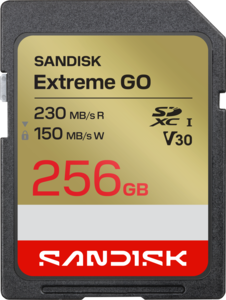 Buy SanDisk Extreme Go 256 GB SDXC Karte (SDSDXGN-256G-GNCIN)