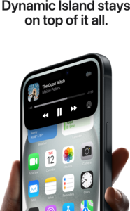 Buy Apple iPhone 15 256GB Black (MTP63ZD/A)