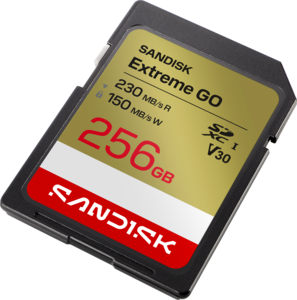 Buy SanDisk Extreme Go 256 GB SDXC Karte (SDSDXGN-256G-GNCIN)