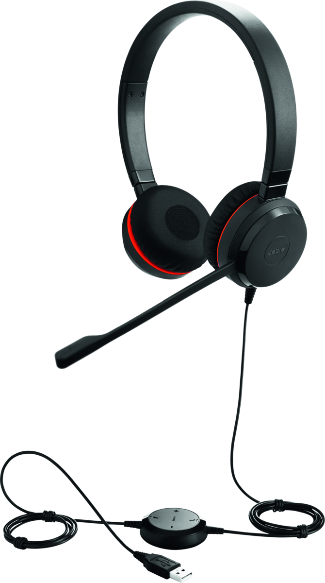 Buy Jabra Evolve 30 II UC Headset Duo (5399-829-309)