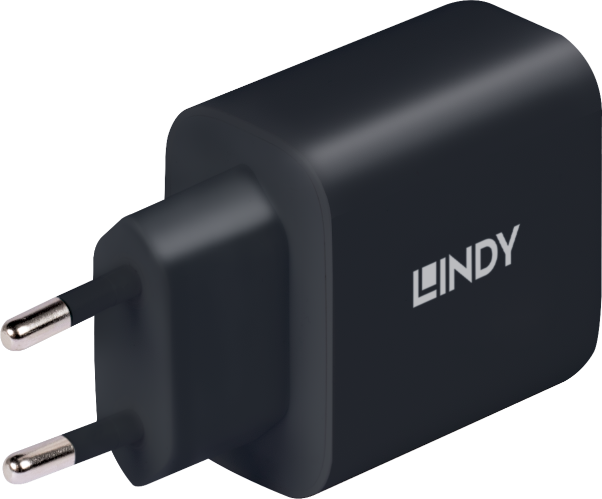 LINDY 65 W USB-C GaN Ladeadapter (73426) kaufen