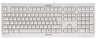 Thumbnail image of CHERRY KC 1000 Keyboard