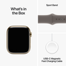 Aperçu de Apple Watch S9 9 LTE 45mm, inox, or