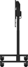 Miniatuurafbeelding van iiyama MD-CAR2031-B1 Floor Lift