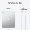 Widok produktu Apple 13" iPad Pro M4 5G 2 TB, srebrny w pomniejszeniu