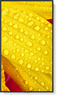 Thumbnail image of Sharp/NEC M651-2 Display