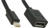 Delock Mini-DP - DisplayPort Adapter Vorschau