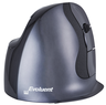 Thumbnail image of Bakker Evoluent D Wless Vertical Mouse L