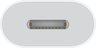 Apple USB-C - Lightning Adapter Vorschau