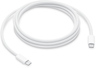 Apple USB Typ C Kabel 240 W 2 m thumbnail