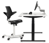 Thumbnail image of Bakker Work & Move Desk Standard