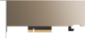 Thumbnail image of PNY NVIDIA A2 Graphics Card