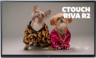 CTOUCH Riva R2 64,5" Touch Display Vorschau