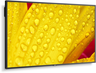 Thumbnail image of Sharp/NEC M651-2 Display
