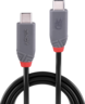 LINDY USB Typ C Kabel 2 m 240 W Vorschau