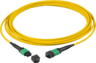 Miniatuurafbeelding van FO Patch Cable MTP/MPO f-f 9µ 5m
