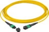 Thumbnail image of FO Patch Cable MTP/MPO f-f 9µ 2m