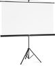 Hama Projektionsleinwand 180x180 cm Vorschau