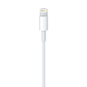Thumbnail image of Apple Lightning - USB Cable 0.5m