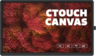Aperçu de CTOUCH Canvas 163,9 cm (64,5") Touch