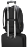 Widok produktu Targus Plecak CityGear 43,9 cm (17,3") w pomniejszeniu