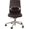 Thumbnail image of Fellowes I-Spire Lumbar Cushion