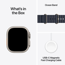 Apple Watch Ultra 2 LTE 49mm Titanium na Vorschau