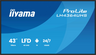 Aperçu de Écran iiyama ProLite LH4364UHS-B1AG