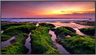 Thumbnail image of Samsung QB98T-B Smart Signage Monitor