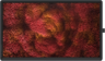 Thumbnail image of CTOUCH Canvas 189.3cm (74.5") Touch