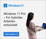 Microsoft Windows 11 Professional 1 License USB Vorschau