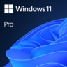 Aperçu de Microsoft Windows 11 Professional All Languages 1 License