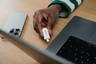 Thumbnail image of Verbatim Plectra Flash Drive 512GB White