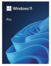 Aperçu de Microsoft Windows 11 Professional EN Int 1Pack DVD
