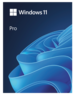 Microsoft Windows 11 Professional 1 License USB Vorschau