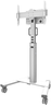 Thumbnail image of Neomounts FL50S-825WH1 Floor Stand