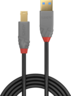 LINDY USB Typ A - B Kabel 1 m Vorschau