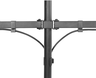 Aperçu de Supp. table Neomounts FPMA-D550D double