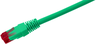Thumbnail image of Patch Cable RJ45 U/UTP Cat6 5m Green