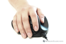 Thumbnail image of Bakker HandShoeMouse M Right