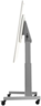 Neomounts NM-HUB2LIFTSILVER Rollständer Vorschau
