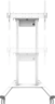 Miniatuurafbeelding van Neomounts FL55-875WH1 Floor Stand