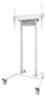 Miniatuurafbeelding van Neomounts FL55-875WH1 Floor Stand