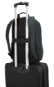 Thumbnail image of Targus Geolite Advanced 39.6cm Backpack